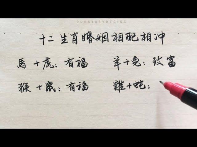 十二生肖婚姻相配相沖。來看看准不准。漢字書法。The best and worst marriages of Chinese twelve zodiacs. Chinese handwriting.