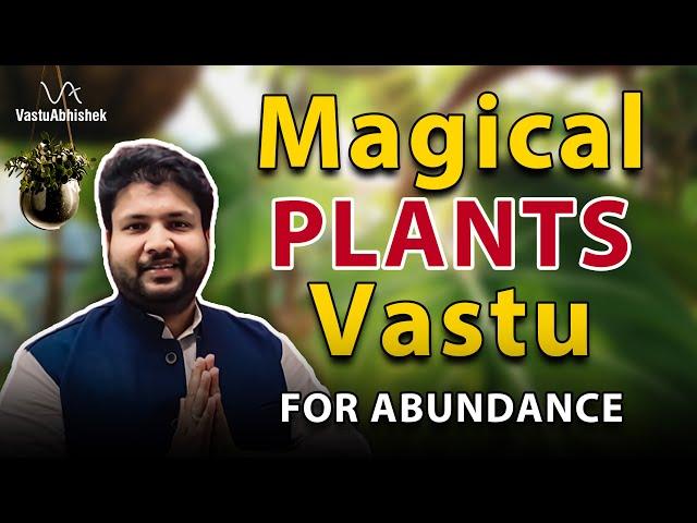 Lucky Plants for Home Vastu | Best Vaastu Plants for Home