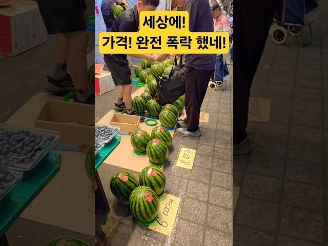 세상에! 똥값 됐네! 어쩌나! #시장 #맛집 #폭락 #food #먹거리 #과일