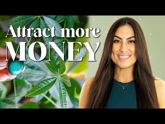 How to Make a Money Corner | Increase Abundance and Wealth!