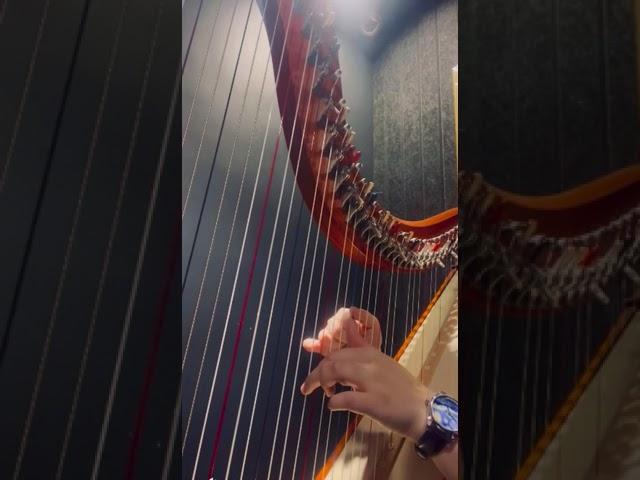 Canon in D by Johann Pachelbel #AtTheHarpClass#Classical#Harp