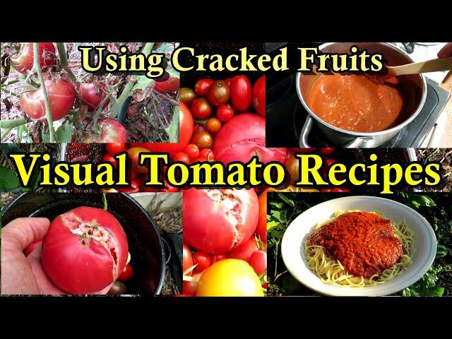 Simple Heirloom Tomato Sauce and Soup Recipes (Picking, Processing, & How to Make It)