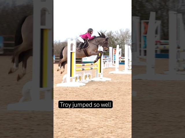 The number blew off the fence #horse #showjumping #horseriding #equestrian #pony #horselover