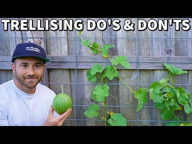 Trellising Secrets: When It's A Game-Changer And When It's Not