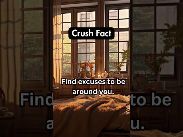 crush fact