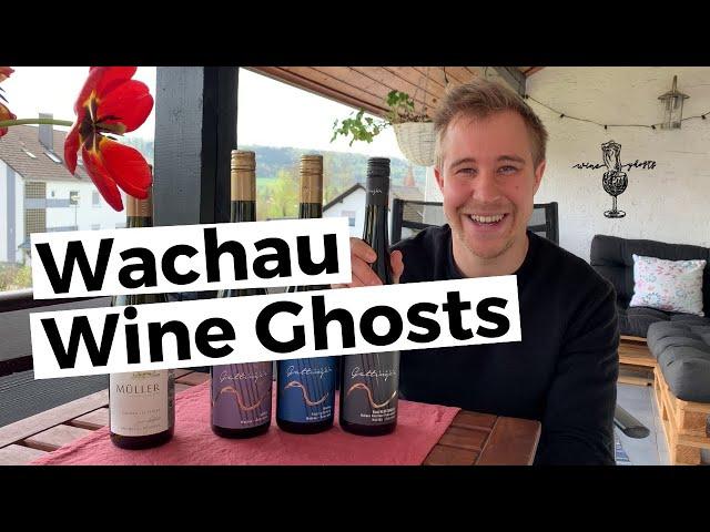 Wachau's Wine Ghosts | Introduction to the Wachau Wine Region