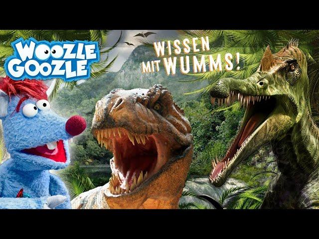 ALLES über DINOS l WOOZLE GOOZLE