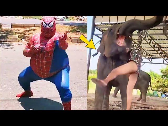 Best Funny Videos 2024 - Try Not To Laugh Funny Videos #617