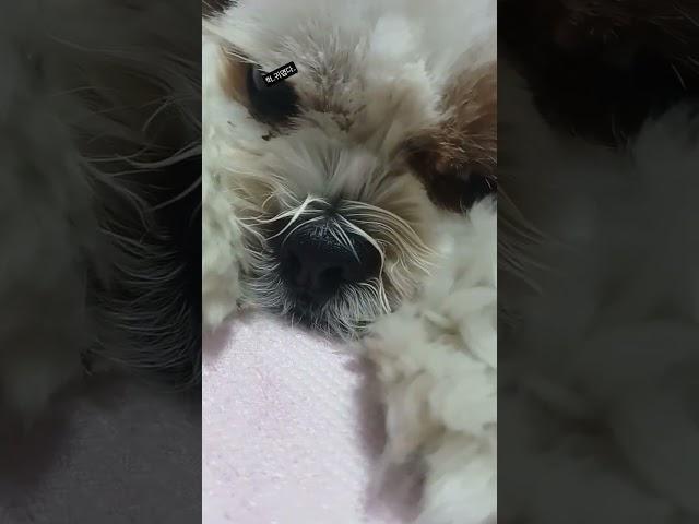 히힣