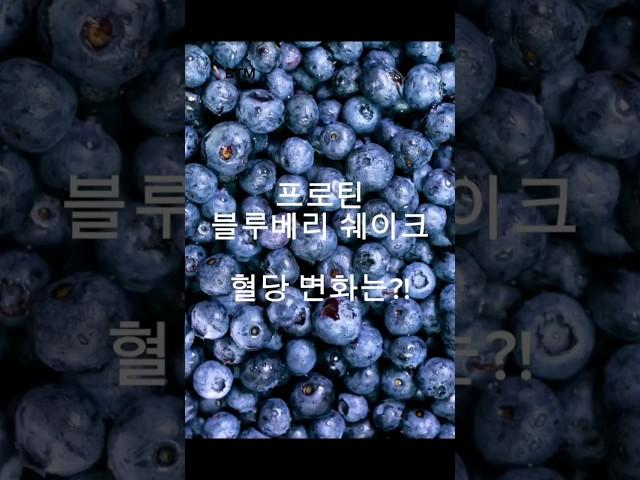 프로틴 블루베리 쉐이크, 혈당 변화는?!