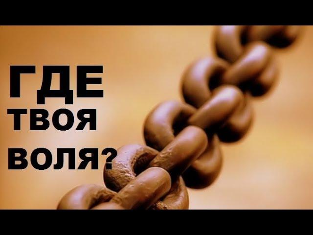 Лишение свободы для каждого? Осознание реальности. Матрица.