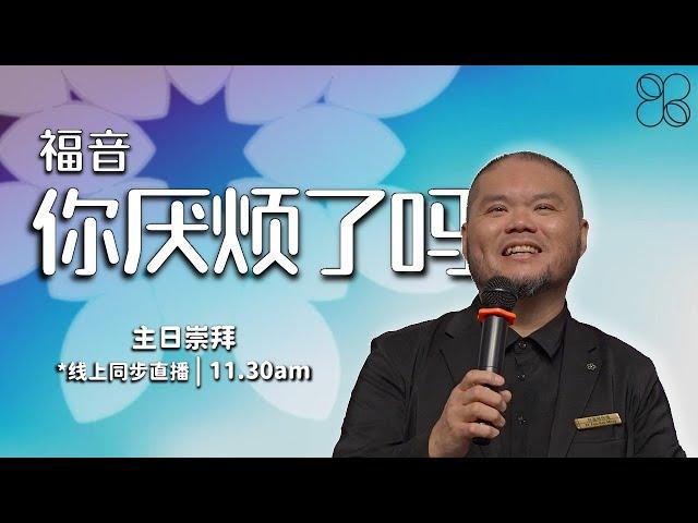 20241225 | 10AM | 长老会伯大尼堂 | 联合圣诞洗礼崇拜 | 沈洪利牧师