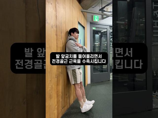 무릎통증으로 고생하신다면 이 영상 하나로 끝!! #운동 #스트레칭 #무릎