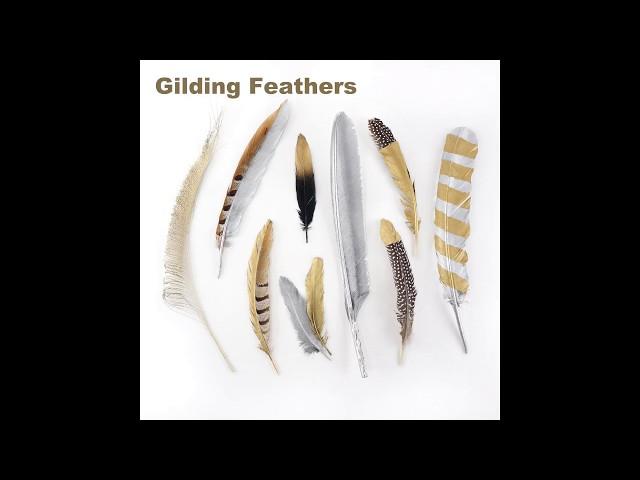 Feather Techniques Gilding Glittering Painting Stenciling Spraying The Feather Place