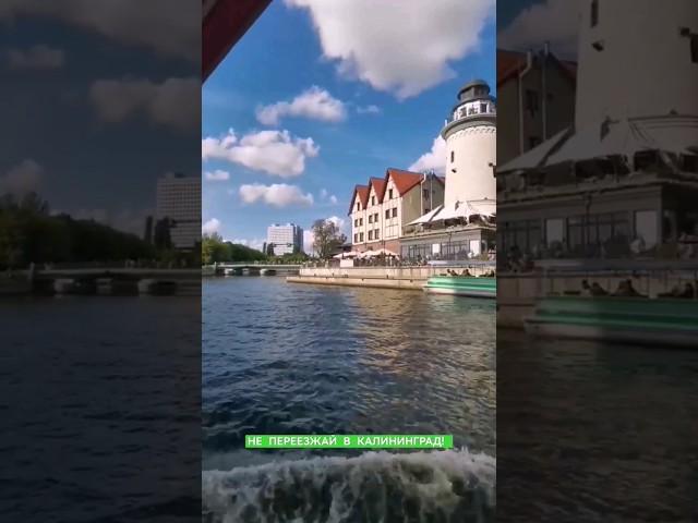 ПЕРЕЕХАЛ В КАЛИНИНГРАД 5 ЛЕТ НАЗАД И СТАЛ МЕСТНЫМ?