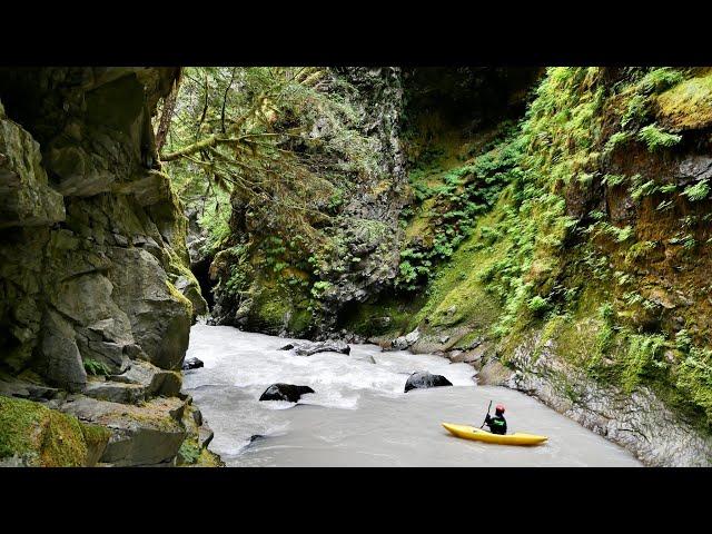 Muddy Fork Cowlitz River | Kayak