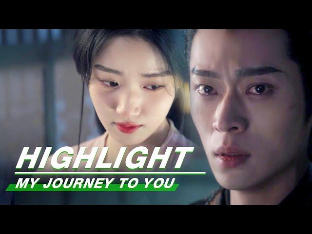 Highlight EP24：Shangguan Qian is Pregnant | My Journey to You | 云之羽 | iQIYI