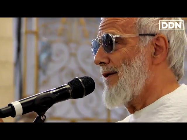 Yusuf Cat Stevens sings Wild World at the Stand Up for Palestine Concert