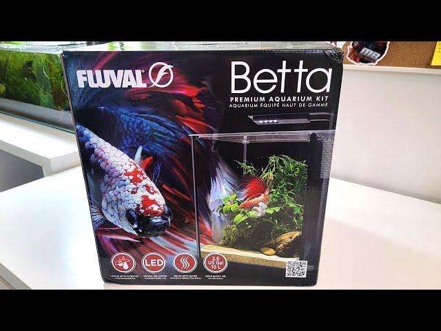 *New* Fluval Betta Tank 2.6 gal | The perfect betta tank?