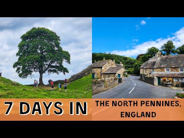 7 DAYS in the North Pennines | Hadrian's Wall, England | The Sycamore Gap Tree | Family Travel UK