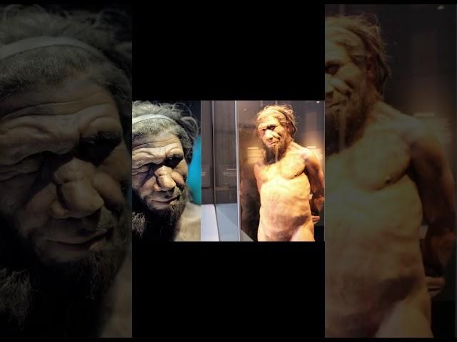 Brain Size of Early Humans