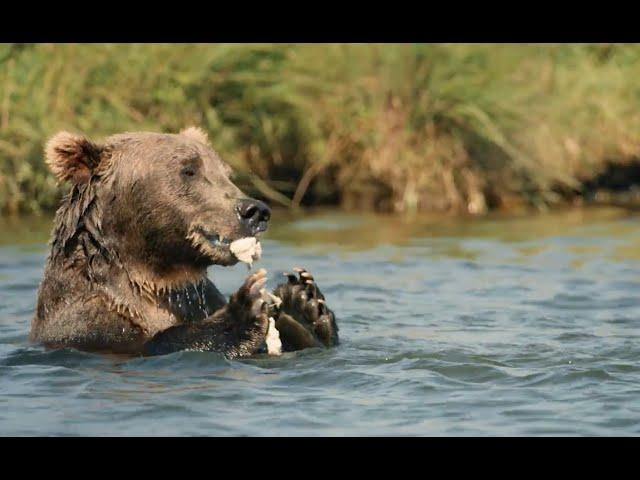 Kodiak Legends Lodge — Best Alaska fishing and sightseeing in Larsen Bay