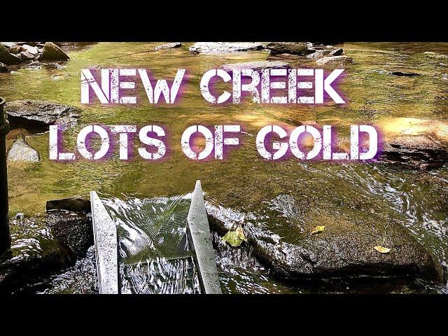 New Creek with Lots of GOLD - NC Gold Prospecting