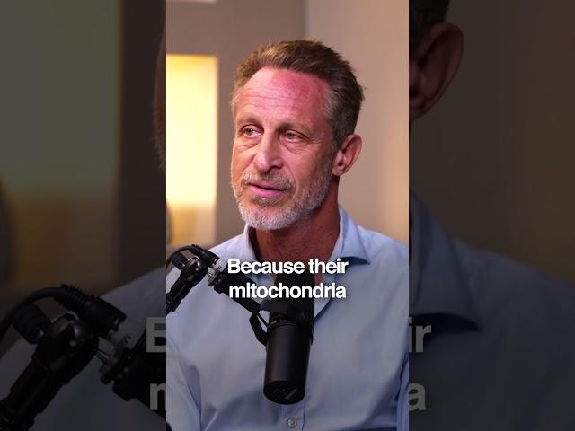 Why Humans Are Built to MOVE
