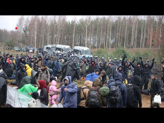 More Migrants Arrive at Poland-Belarus Border Amid Rising Tensions