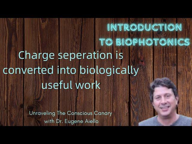 The first step of life is charge separation induced by light.