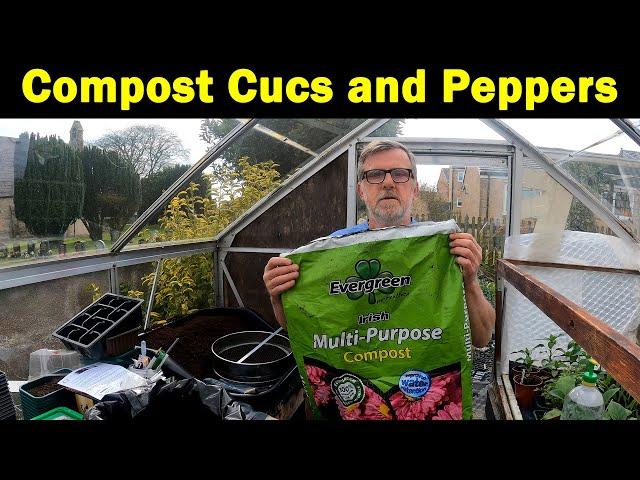 Compost | Sieving | Cucumbers | Peppers | Green Side Up