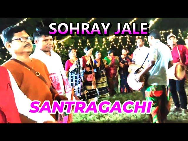 Sohray Enech #Traditional Santhali Saharay Dance-2024#Santragachi#