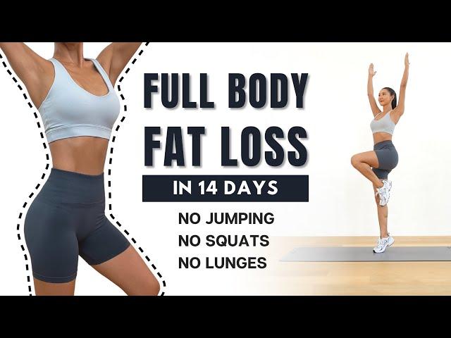 FULL BODY FAT LOSS in 14 Days 30 MIN Non-stop Standing Workout - No Jumping, No Squats, No Lunges