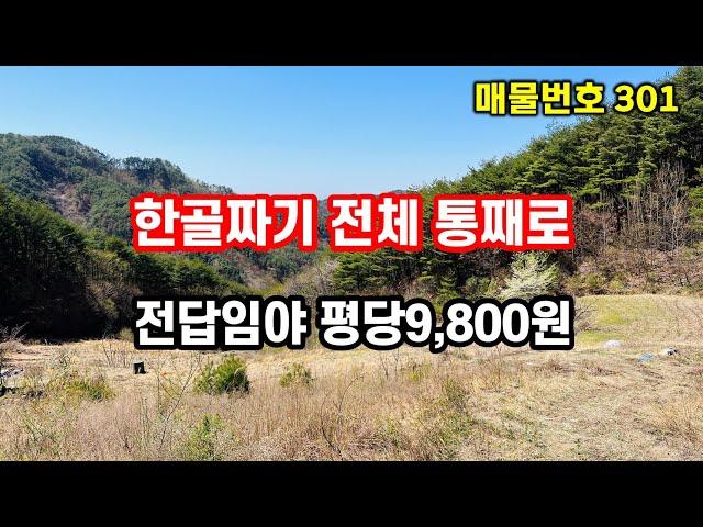 경북땅 시골땅 밭과 임야 10,069평, 한 골짜기 전체를 쓸 수 있는 골막장 땅 추천~