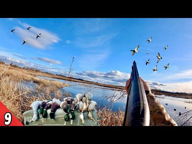 Decoying MALLARDS Over An Ice Hole (LIMITED) | Duck Hunting 2025