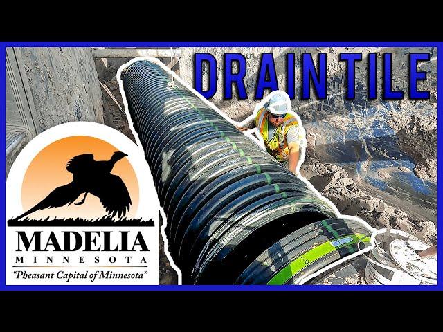 Installing Drain Tile - Madelia Minnesota