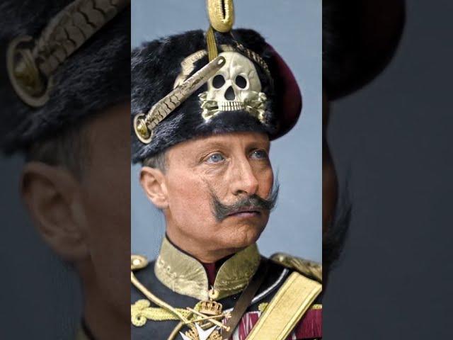 The ONLY Reason Why WW1 Germany Is Supported HOI4 (Hearts of Iron 4)