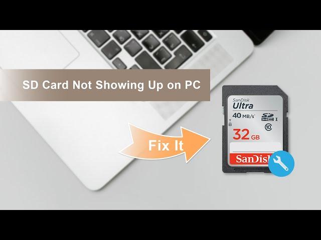 【Fix it!】SD Card Not Detected/Showing Up on My PC