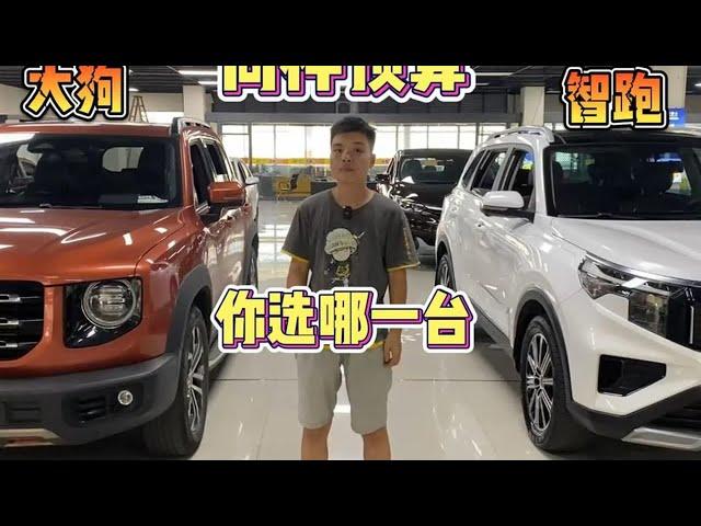 同样的的预算，选不同的车，没有对错，只有适合与否！ #二手车 【小龚二手车】