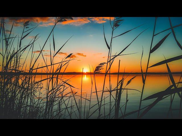 Sunset Background Free Stock Videos | Free stock footage - No Copyright | All Video Free