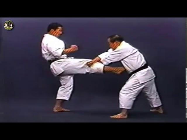 SHOTOKAN karate - The Nakayama - Heian Yondan Kata and Bunkai (Каратэ Шотокан Накаямы)