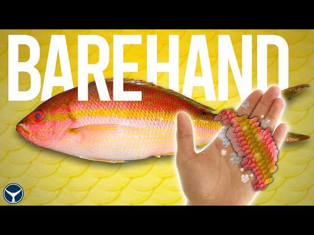 DESCALING A FISH BY HAND?!
