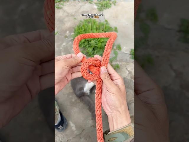 The Rescue Knot Every Adventurer Must Know