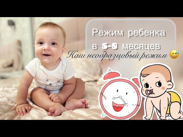 Режим ребенка с 5 до 8 месяцев | Наш режим, не идеальный, но комфортный