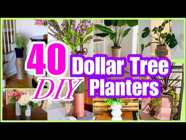 40+ DOLLAR TREE PLANTERS + VASES DIY DECOR!