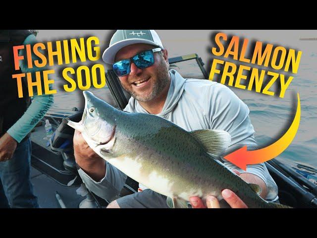 Pink Salmon Frenzy: Sault Ste. Marie Fishing Adventure | Fisherman’s Digest