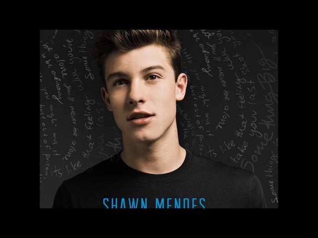 Shawn Mendes - Stitches