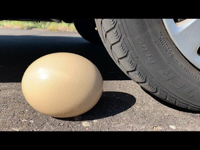 Crushing Crunchy & Soft Things by Car!   EXPERIMENT  BIG EGG VS CAR