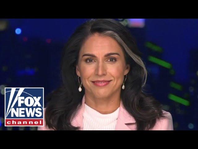 Tulsi Gabbard: This drove people across party lines to say 'yes' to Trump