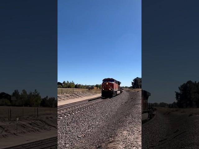 A northbound knocks down the signal in Monument CO